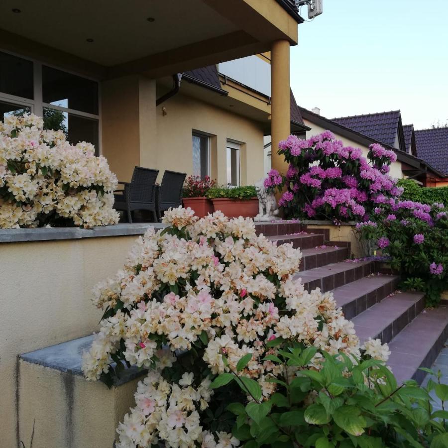 Rezident Consult S.R.O. Hotel Bratislava Luaran gambar